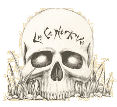 Skull on ground